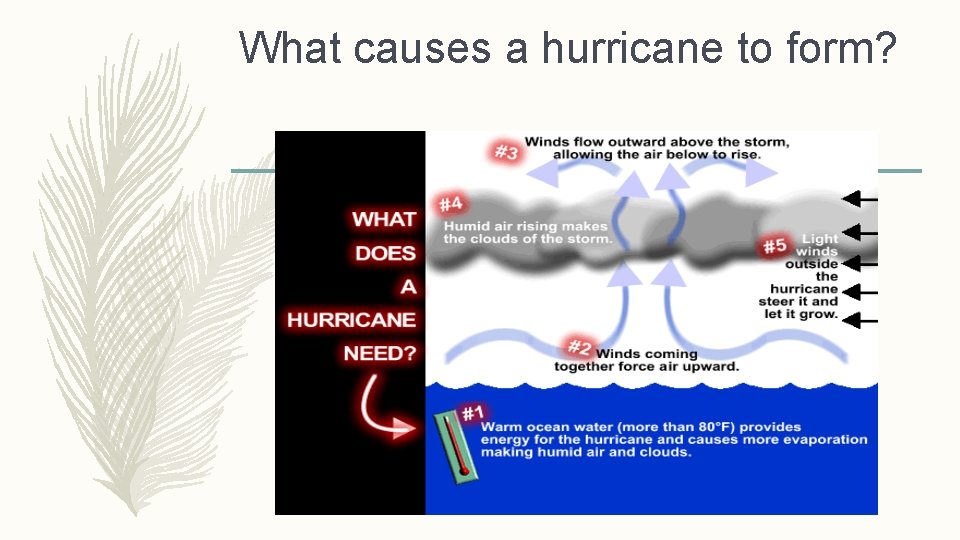 What causes a hurricane to form? 