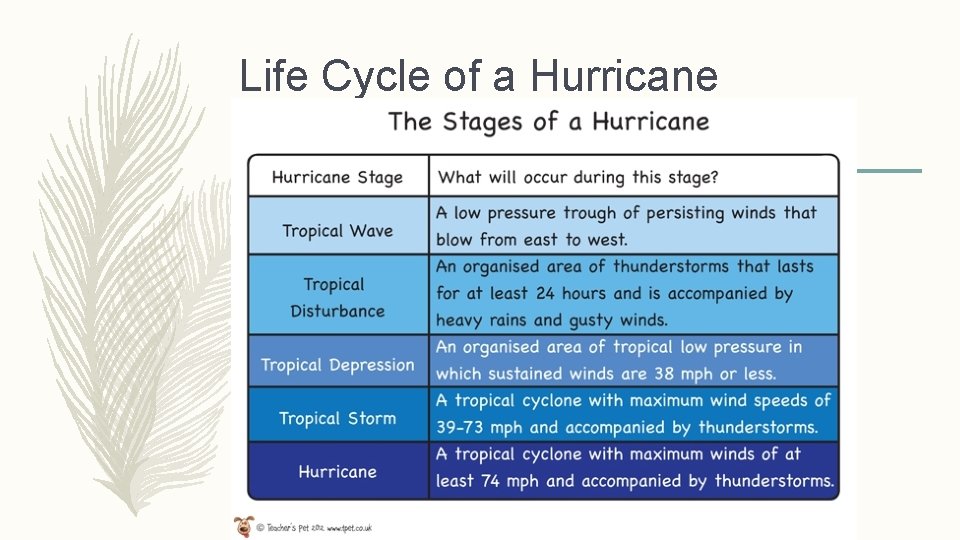 Life Cycle of a Hurricane 