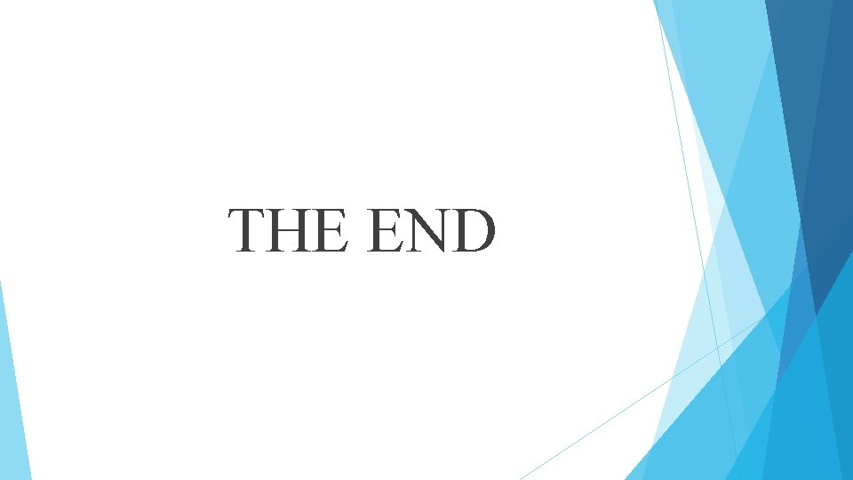 THE END 