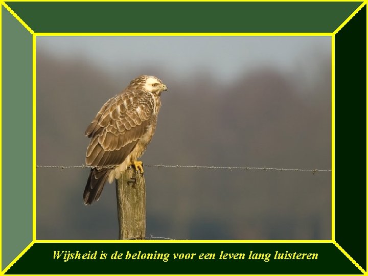 Wijsheid is de beloning voor een leven lang luisteren 