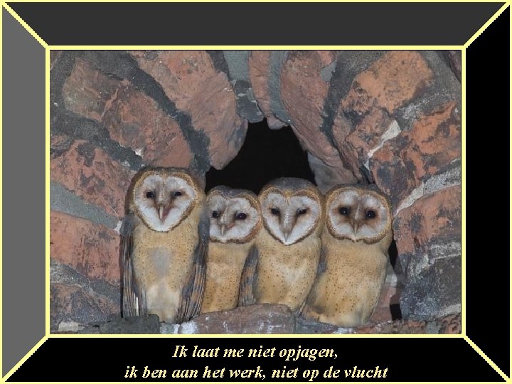 Ik laat me niet opjagen, ik ben aan het werk, niet op de vlucht