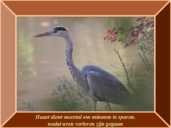 Haast dient meestal om minuten te sparen, nadat uren verloren zijn gegaan 