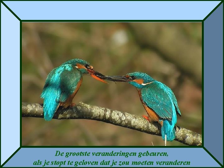 De grootste veranderingen gebeuren, als je stopt te geloven dat je zou moeten veranderen