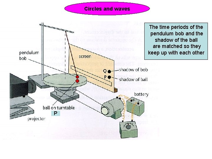 Circles and waves The time periods of the pendulum bob and the shadow of