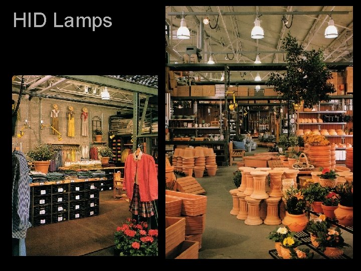 HID Lamps 