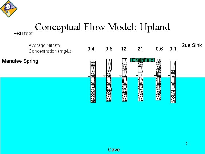 ~60 feet Conceptual Flow Model: Upland Average Nitrate Concentration (mg/L) 0. 4 0. 6 ~60 feet Conceptual Flow Model: Upland Average Nitrate Concentration (mg/L) 0. 4 0. 6
