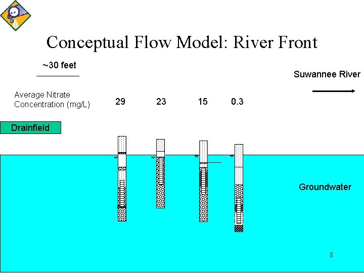 Conceptual Flow Model: River Front ~30 feet Suwannee River Average Nitrate Concentration (mg/L) 29