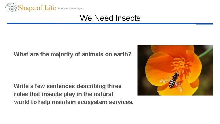 We Need Insects What are the majority of animals on earth? Write a few