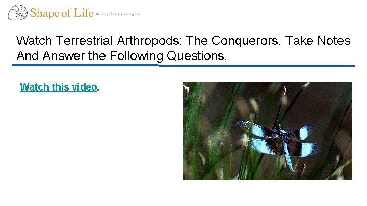 Watch Terrestrial Arthropods: The Conquerors. Take Notes And Answer the Following Questions. Watch this