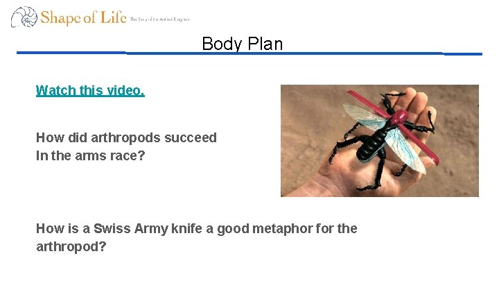 Body Plan Watch this video. How did arthropods succeed In the arms race? How