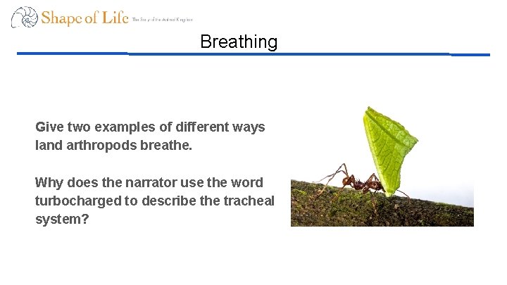 Breathing Give two examples of different ways land arthropods breathe. Why does the narrator