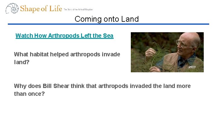 Coming onto Land Watch How Arthropods Left the Sea What habitat helped arthropods invade