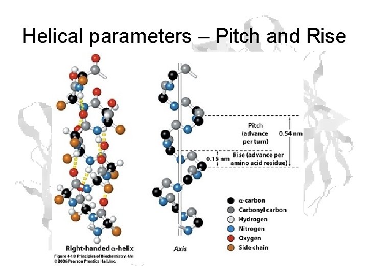 Helical parameters – Pitch and Rise 