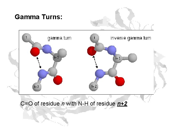 Gamma Turns: C=O of residue n with N-H of residue n+2 