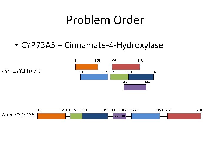 Problem Order • CYP 73 A 5 – Cinnamate-4 -Hydroxylase 44 454 scaffold 10240