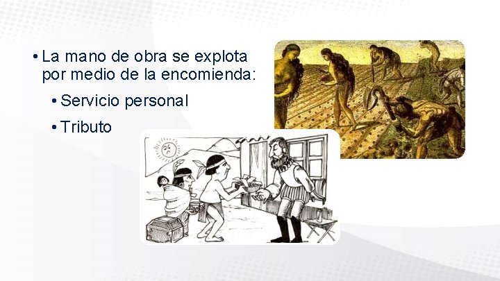  • La mano de obra se explota por medio de la encomienda: •