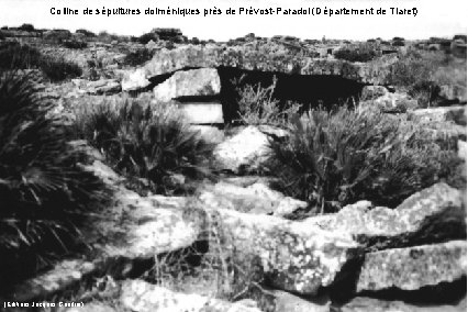 Colline de sépultures dolméniques près de Prévost-Paradol (Département de Tiaret) (Editions Jacques Gandini) 