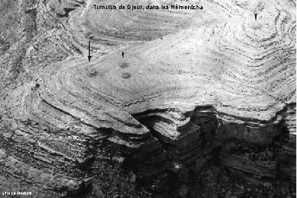 Tumulus de Djeur, dans les Némentcha (Pierre Morizot) 