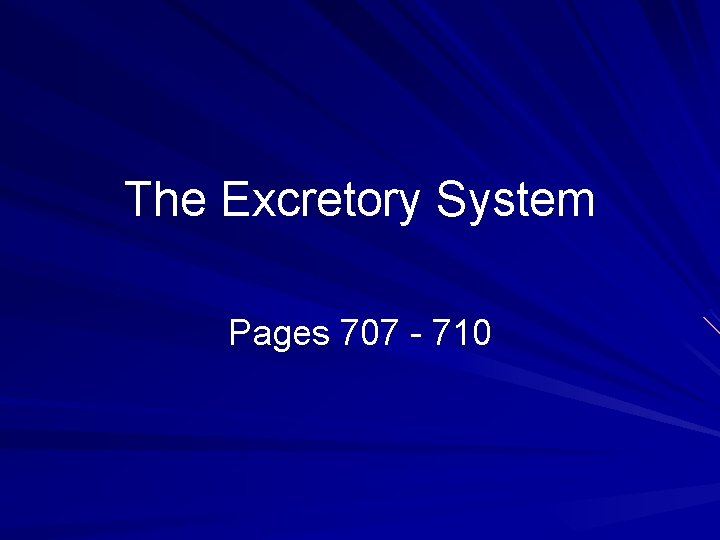 The Excretory System Pages 707 - 710 