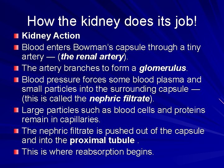 How the kidney does its job! Kidney Action Blood enters Bowman’s capsule through a