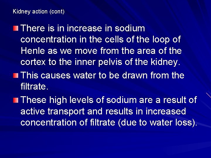 Kidney action (cont) There is in increase in sodium concentration in the cells of