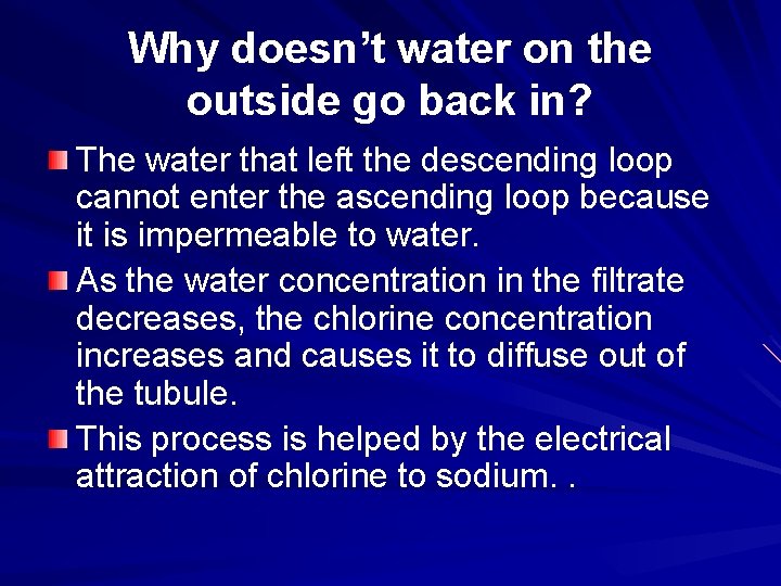 Why doesn’t water on the outside go back in? The water that left the