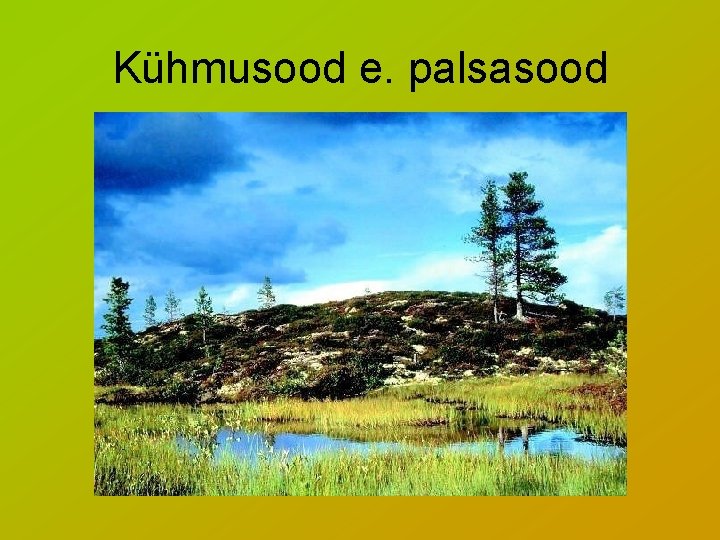 Kühmusood e. palsasood 