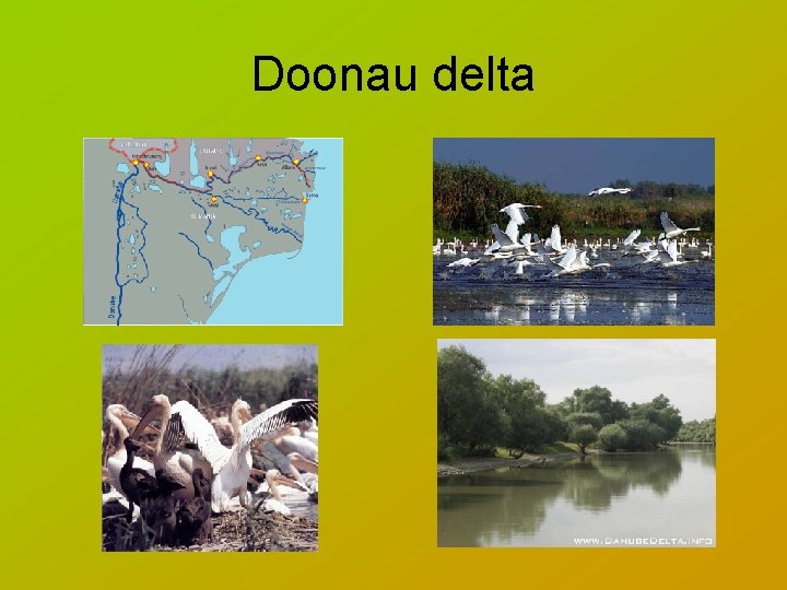 Doonau delta 