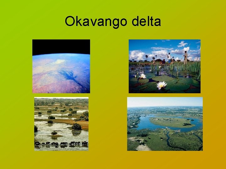 Okavango delta 