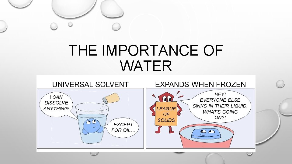 THE IMPORTANCE OF WATER 