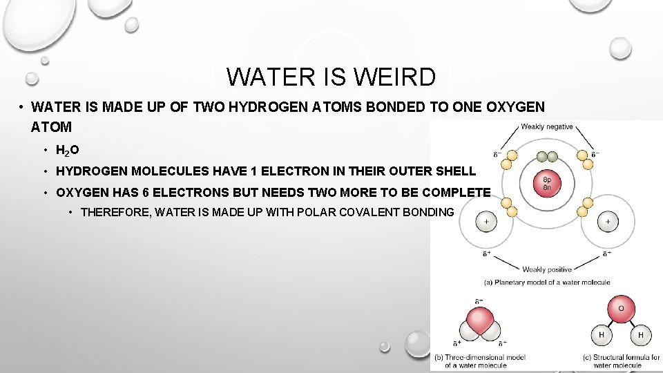 WATER IS WEIRD • WATER IS MADE UP OF TWO HYDROGEN ATOMS BONDED TO