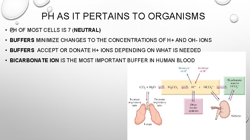 PH AS IT PERTAINS TO ORGANISMS • PH OF MOST CELLS IS 7 (NEUTRAL)