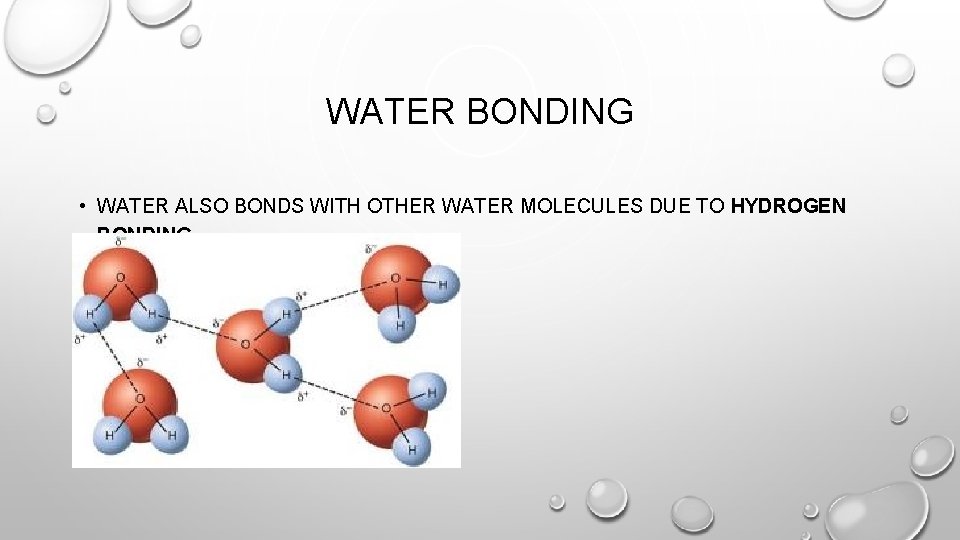 WATER BONDING • WATER ALSO BONDS WITH OTHER WATER MOLECULES DUE TO HYDROGEN BONDING