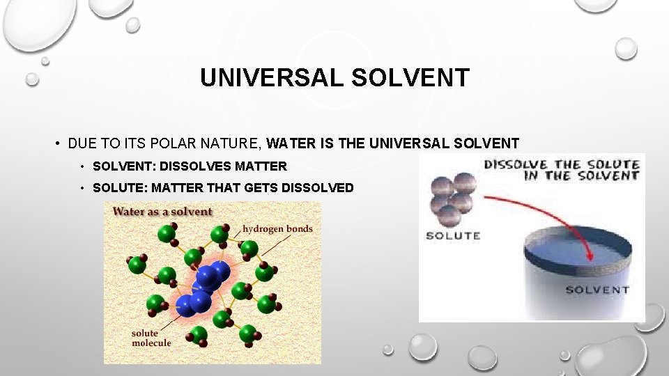 UNIVERSAL SOLVENT • DUE TO ITS POLAR NATURE, WATER IS THE UNIVERSAL SOLVENT •