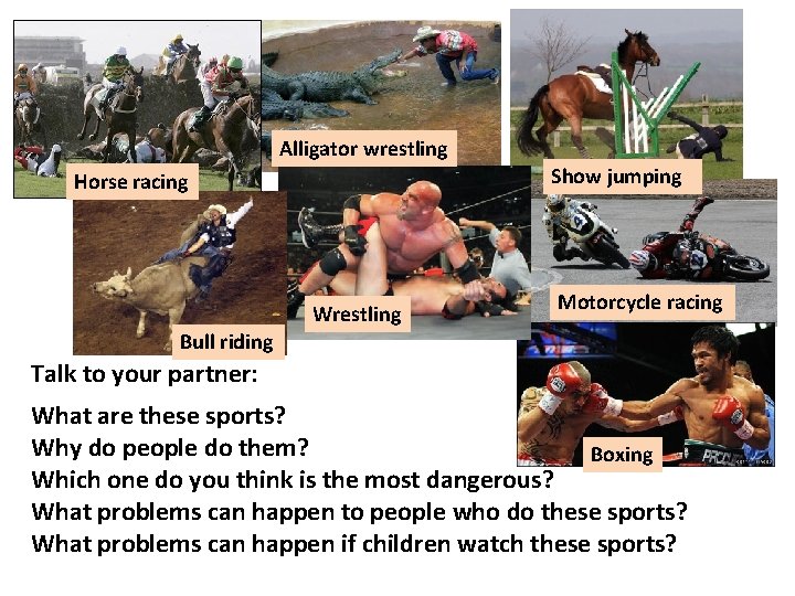 Alligator wrestling Show jumping Horse racing Wrestling Motorcycle racing Bull riding Talk to your