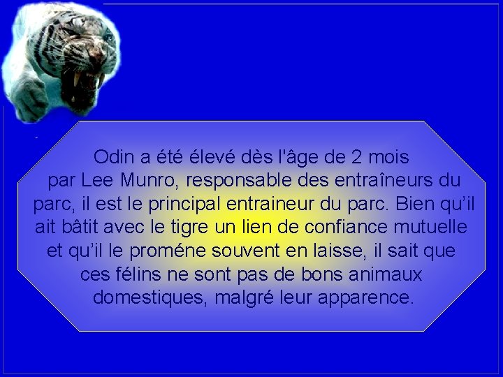 Odin a été élevé dès l'âge de 2 mois par Lee Munro, responsable des