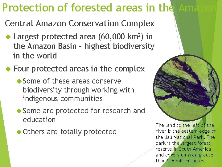 Protection of forested areas in the Amazon Central Amazon Conservation Complex Largest protected area Protection of forested areas in the Amazon Central Amazon Conservation Complex Largest protected area