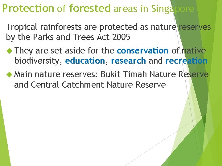 Protection of forested areas in Singapore Tropical rainforests are protected as nature reserves by