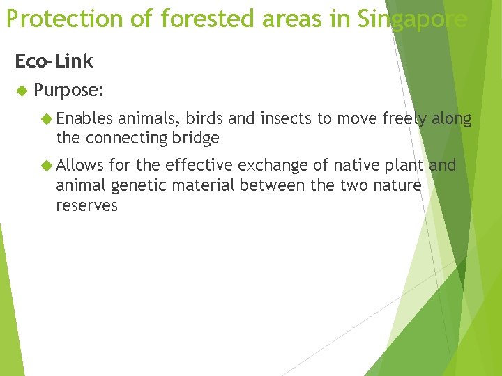 Protection of forested areas in Singapore Eco-Link Purpose: Enables animals, birds and insects to