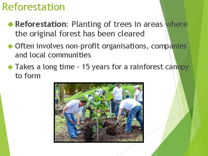 Reforestation Reforestation: Planting of trees in areas where the original forest has been cleared