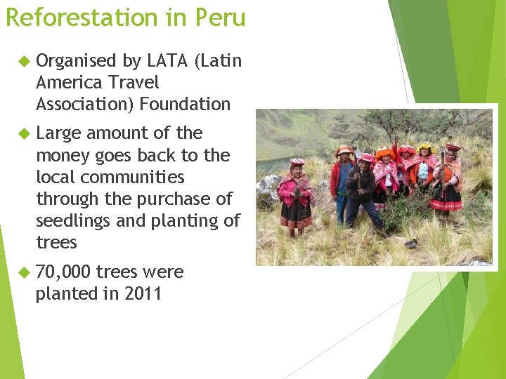 Reforestation in Peru Organised by LATA (Latin America Travel Association) Foundation Large amount of