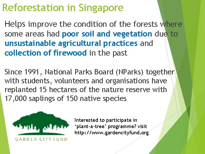 Reforestation in Singapore Helps improve the condition of the forests where some areas had