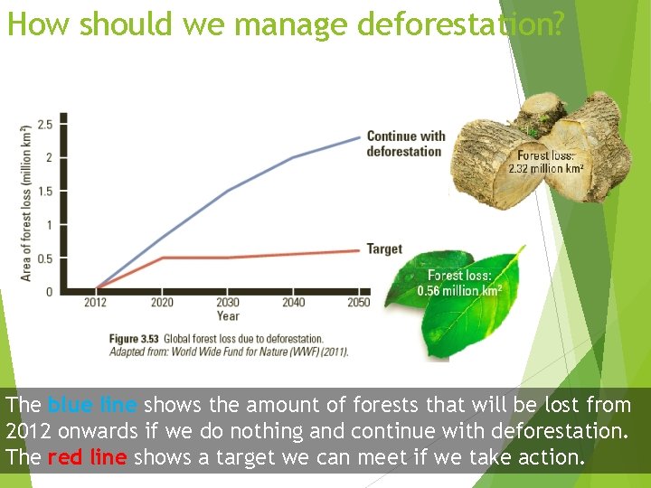 How should we manage deforestation? The blue line shows the amount of forests that