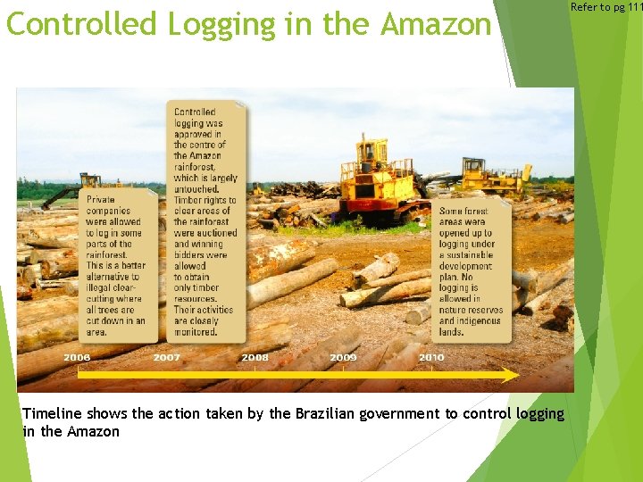 Controlled Logging in the Amazon Timeline shows the action taken by the Brazilian government