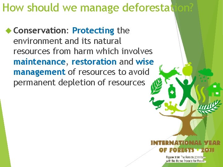 How should we manage deforestation? Conservation: Protecting the environment and its natural resources from