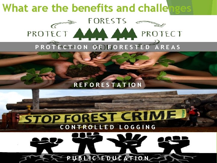 What are the benefits and challenges PROTECTION OF FORESTED AREAS REFORESTATION CONTROLLED LOGGING PUBLIC