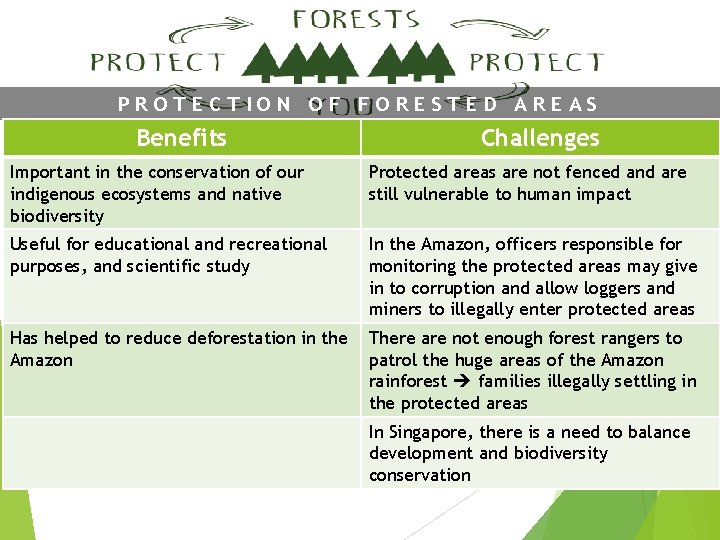 PROTECTION OF FORESTED AREAS Benefits Challenges Important in the conservation of our indigenous ecosystems