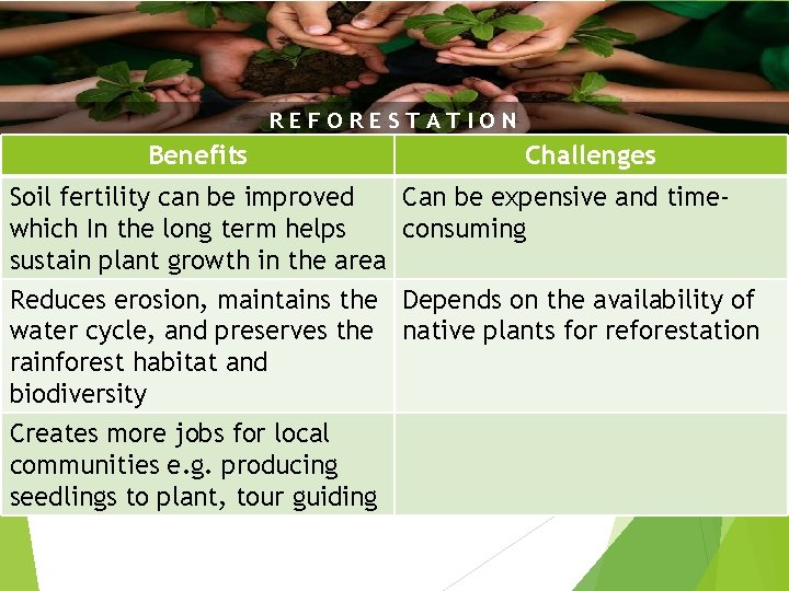 REFORESTATION Benefits Challenges Soil fertility can be improved Can be expensive and timewhich In