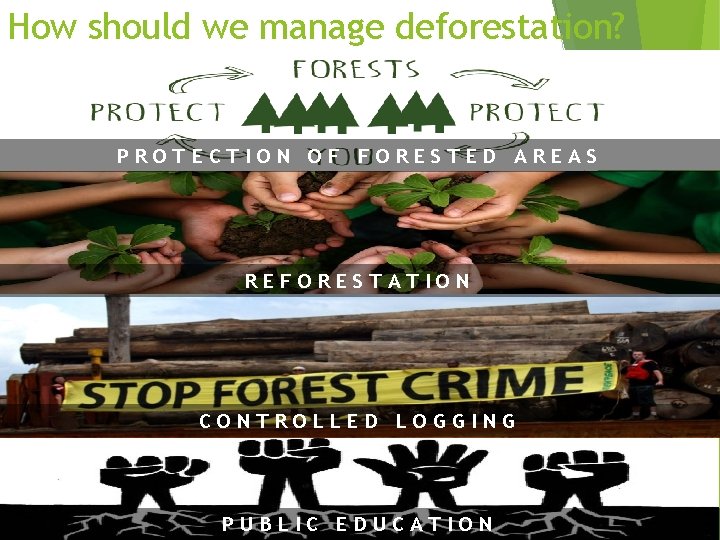 How should we manage deforestation? PROTECTION OF FORESTED AREAS REFORESTATION CONTROLLED LOGGING PUBLIC EDUCATION