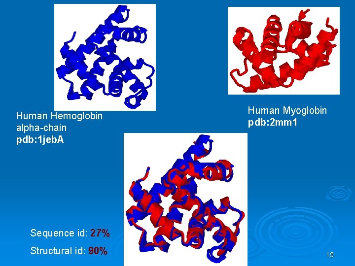 Human Hemoglobin alpha-chain pdb: 1 jeb. A Human Myoglobin pdb: 2 mm 1 Sequence